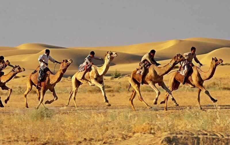 Camel Race at Jaisalmer Desert Festival