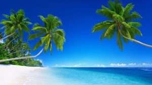 13 Best Beaches in Maharashtra to Visit in 2024 [Beautiful Beaches]