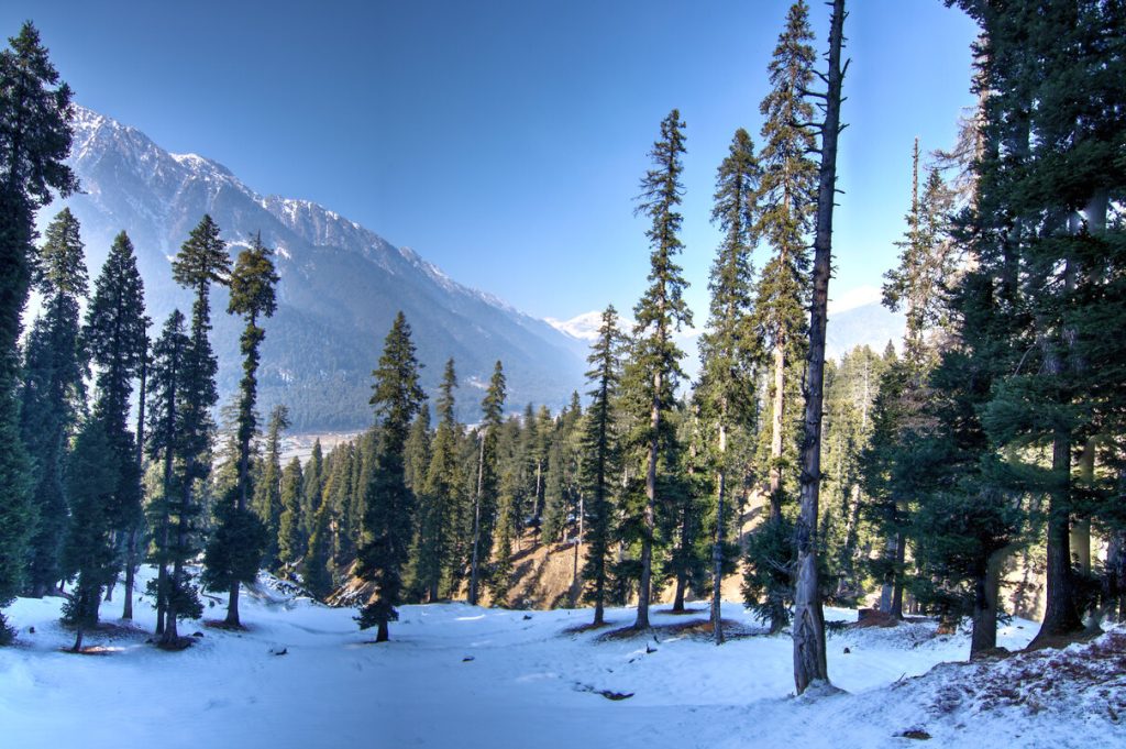 Best Places to Visit in Kashmir