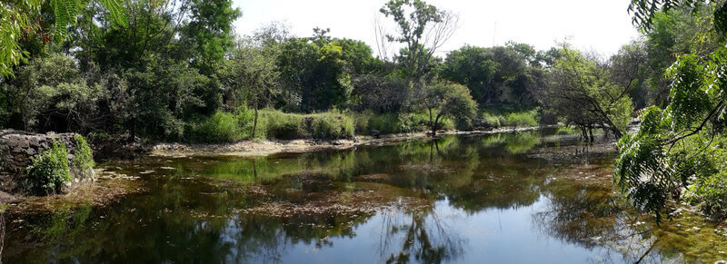 Nauradehi Wildlife Sanctuary