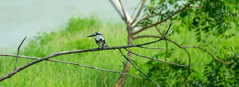 Panpatha Wildlife Sanctuary