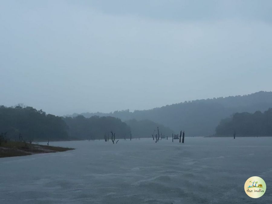 Periyar - Popular Wildlife Sanctuary in Kerala