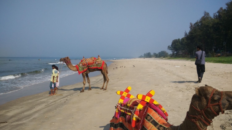 Velneshwar Beach