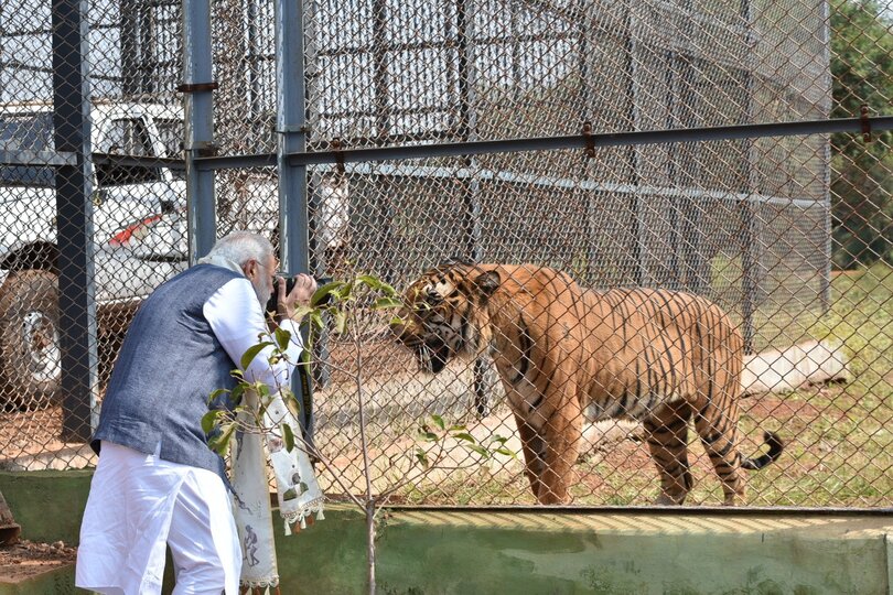 Nandan Van Jungle Safari