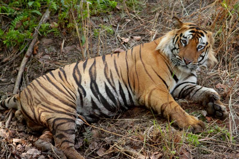 Periyar National Park