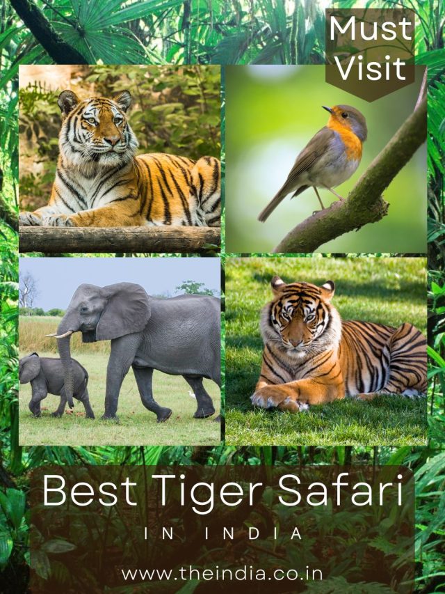 Discover The 12 Best Tiger Safari In India in 2023
