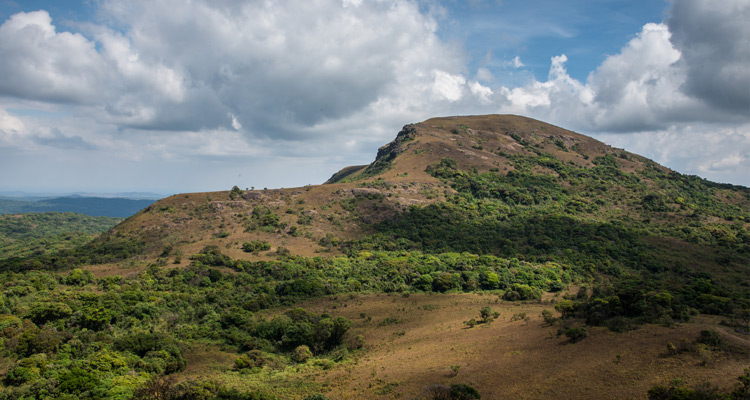 Kotebetta Peak Coorg