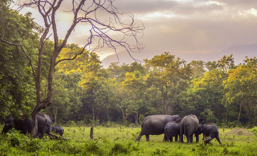 Jaldarpur National Park