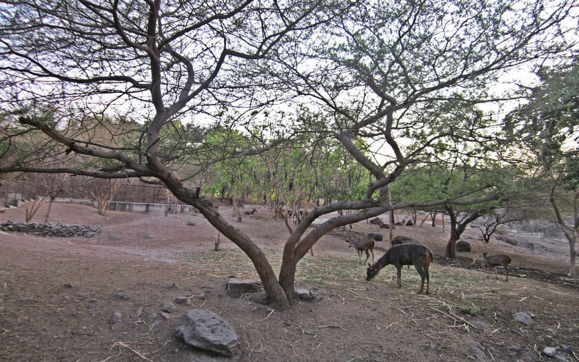 Pradhyuman Park Rajkot