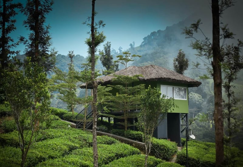 Wild Planet Resort