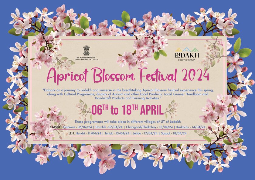 Apricot Blossom Festival Ladakh 2024