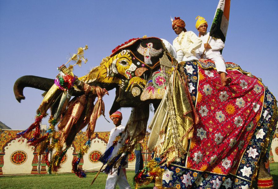 Elephant festival of Jaipur