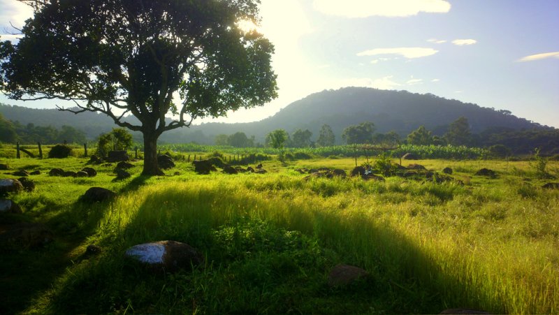 Yelagiri