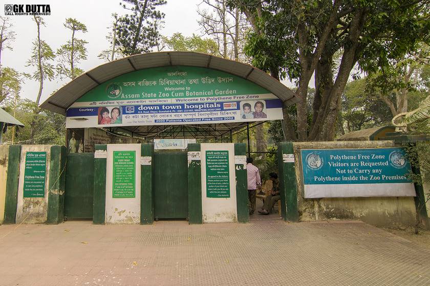 guwahati zoo