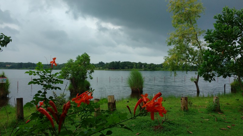 Kolad Kolad