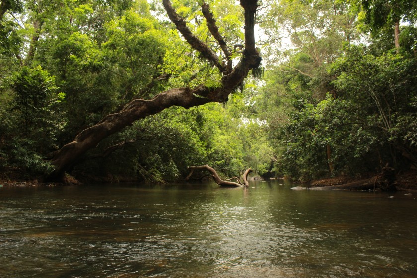 Nisargadhama in Coorg