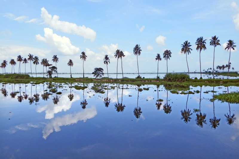 Vembanad_Lake_at_Kumarakom Kumarakom