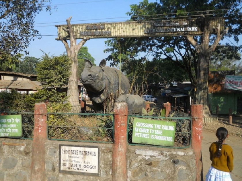 kaziranga national park