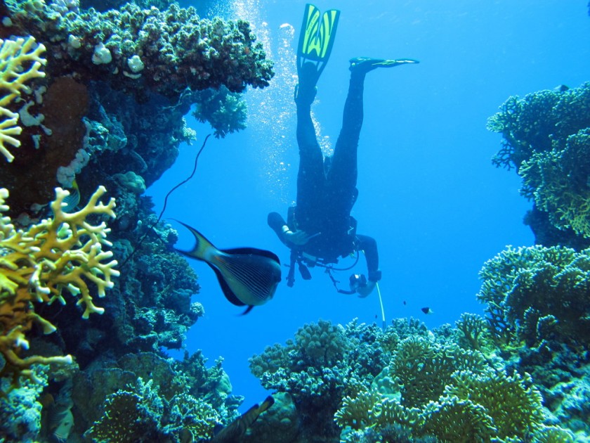Underwater Sports, Goa
