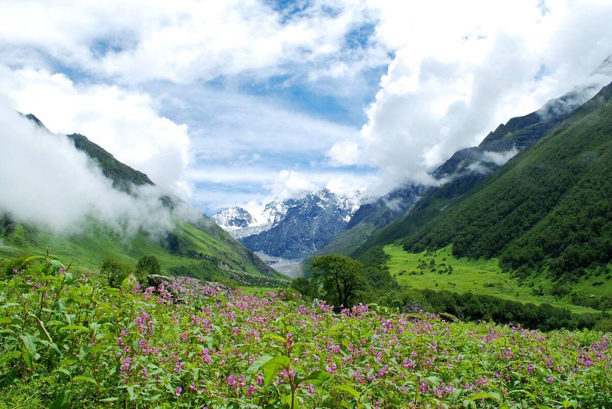 Best Hill Stations Near Delhi