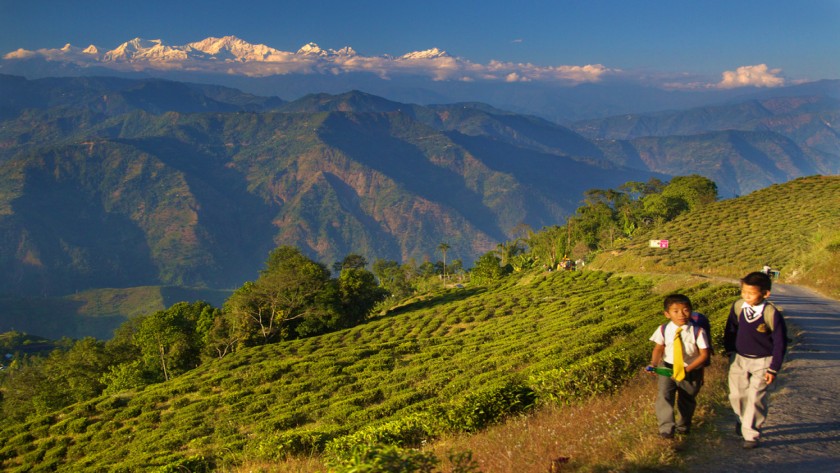 Darjeeling