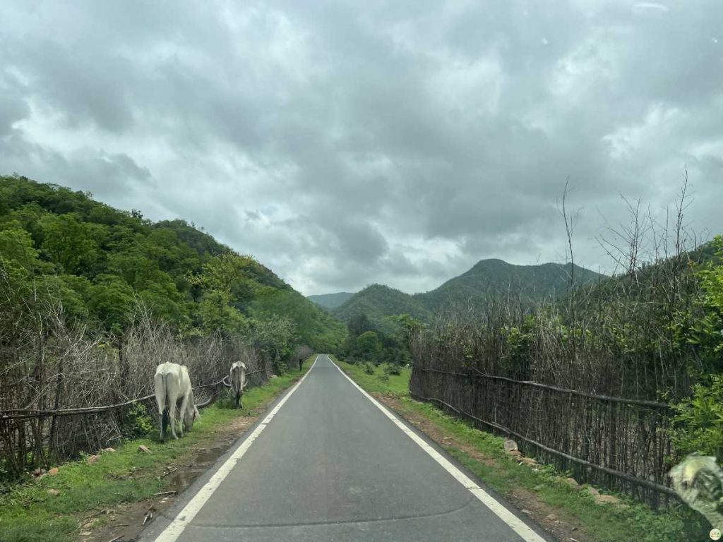 Phulwari Ki Nal Wildlife Sanctuary