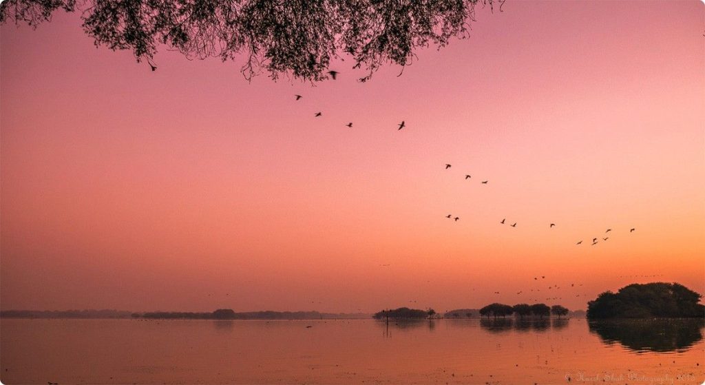 Thol Lake Sanctuary