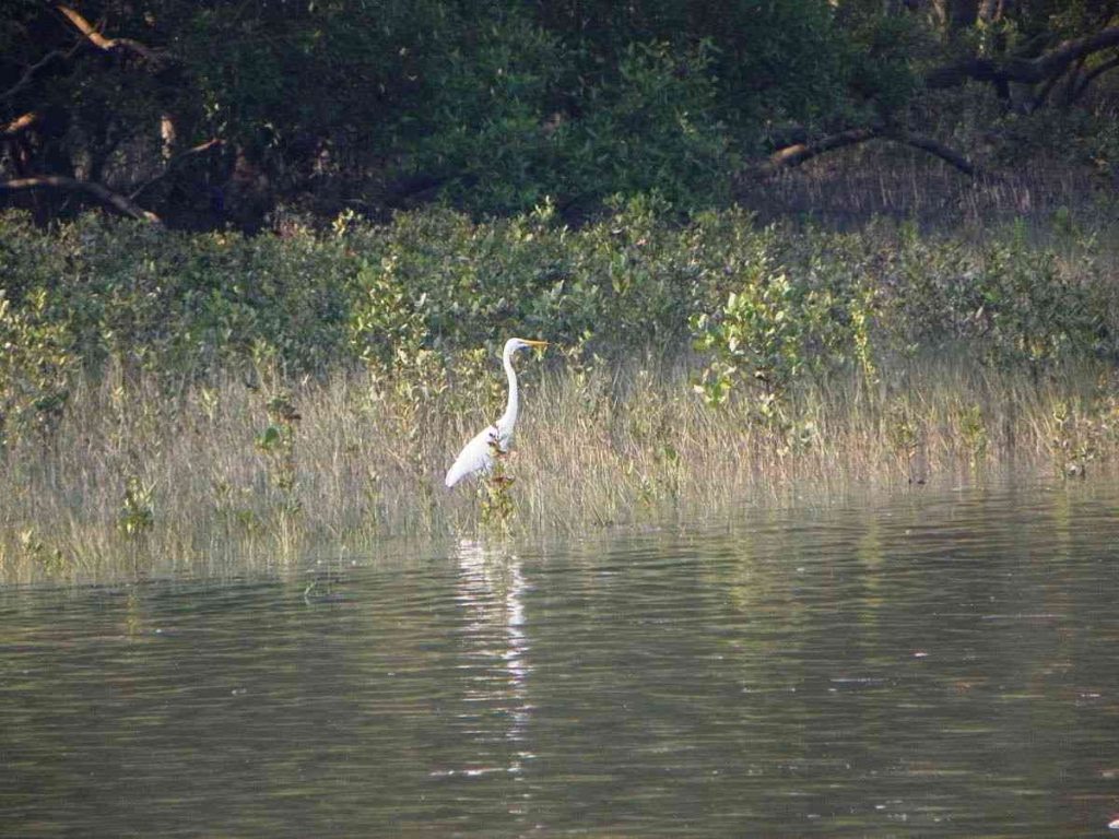 Balpakram National Park (Meghalaya)