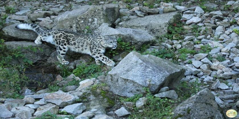 Guindy National Park (Tamil Nadu)