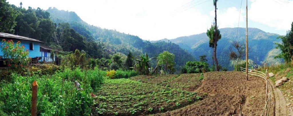 Neora Valley National Park (West Bengal)