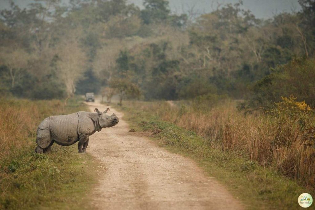 Sanjay Gandhi National Park (Maharashtra)