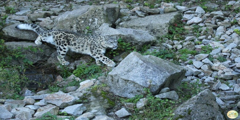 Guindy National Park (Tamil Nadu)