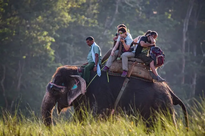 Kaziranga Wildlife Sanctuary
