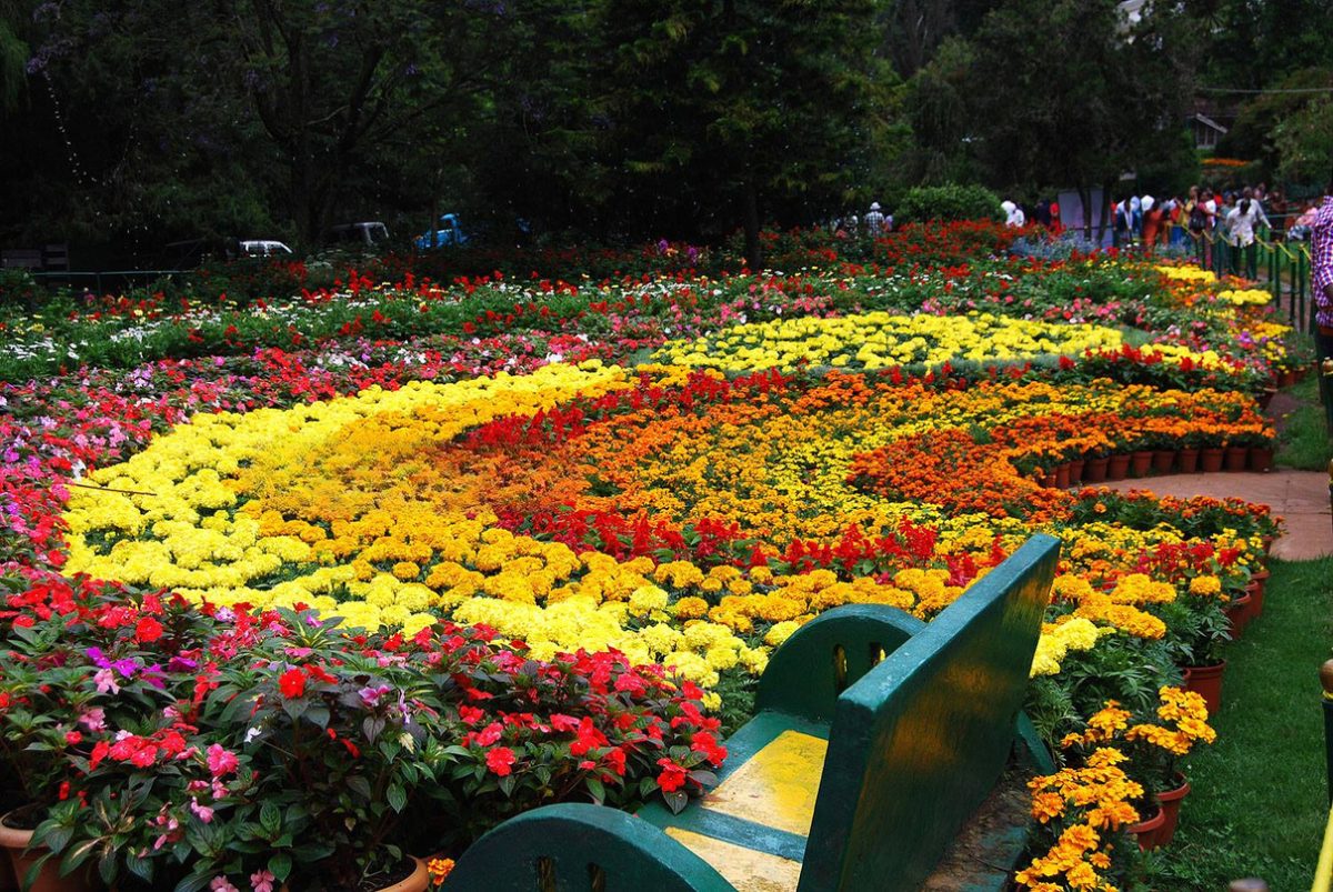 Ooty Flower Show 2025 at Botanical Garden