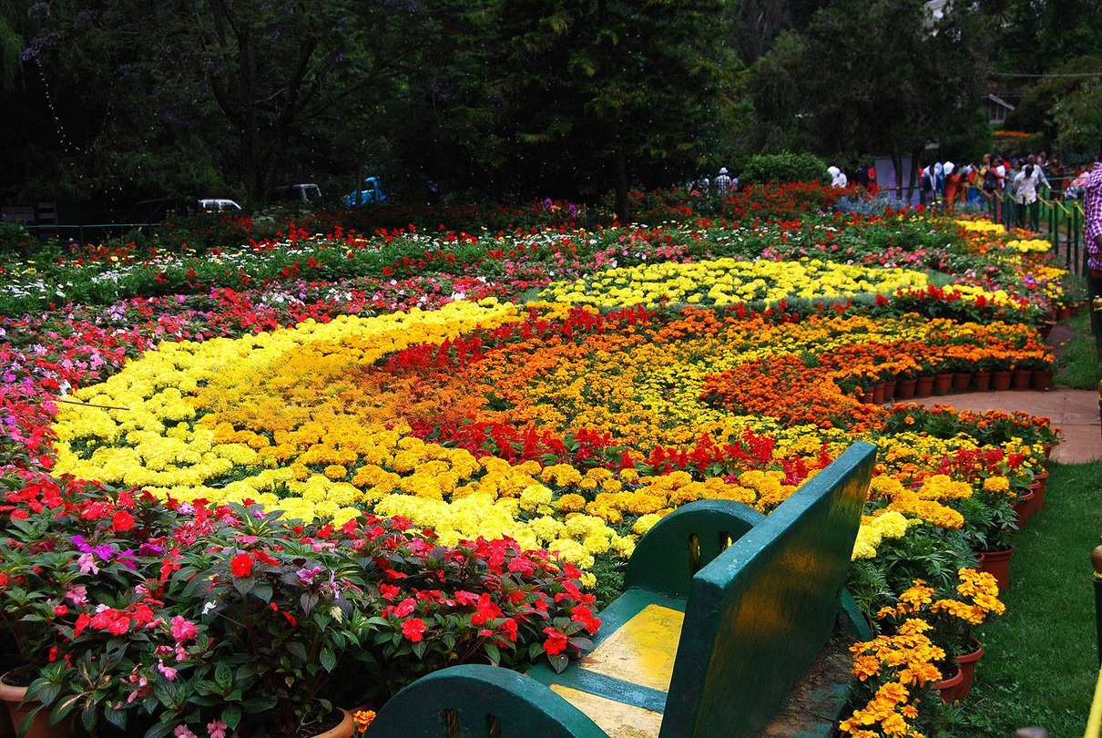 Ooty Flower Show 2025 at Botanical Garden