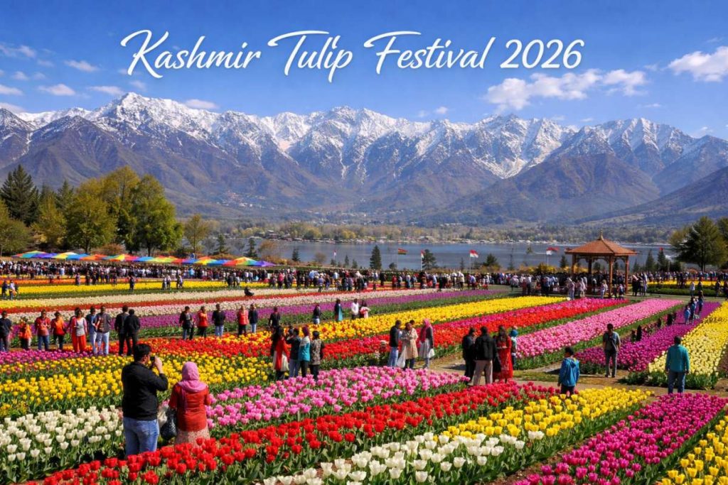 kashmir-tulip-festival-2026